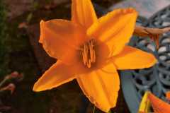 IMG-20250726-WA0007