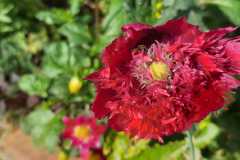 IMG-20251018-WA0001