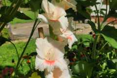 IMG-20251018-WA0003