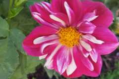 IMG-20251018-WA0004