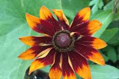 IMG-20251018-WA0006