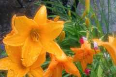 IMG-20251018-WA0007