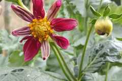 IMG-20251018-WA0016