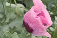 IMG-20251018-WA0019