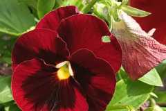 IMG-20251018-WA0021