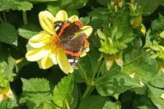 IMG-20251018-WA0022