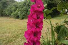 IMG-20251018-WA0025