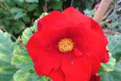 IMG-20251018-WA0027