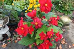 IMG-20251018-WA0028