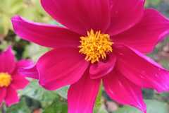 IMG-20251018-WA0032
